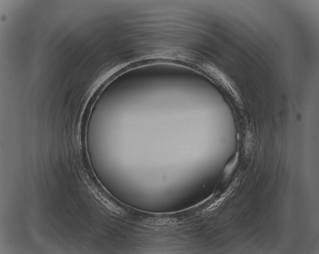 X0000086300884200704091018