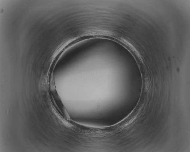 X0000086300885200704091018