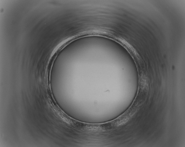 X0000086300886200704091018