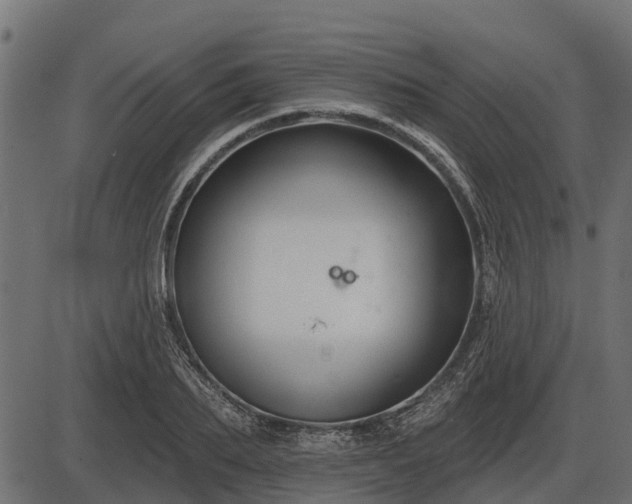 X0000086300887200704091018