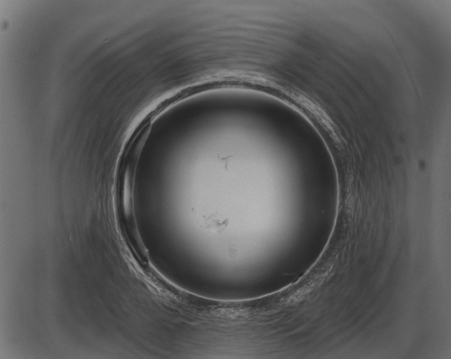 X0000086300888200704091018