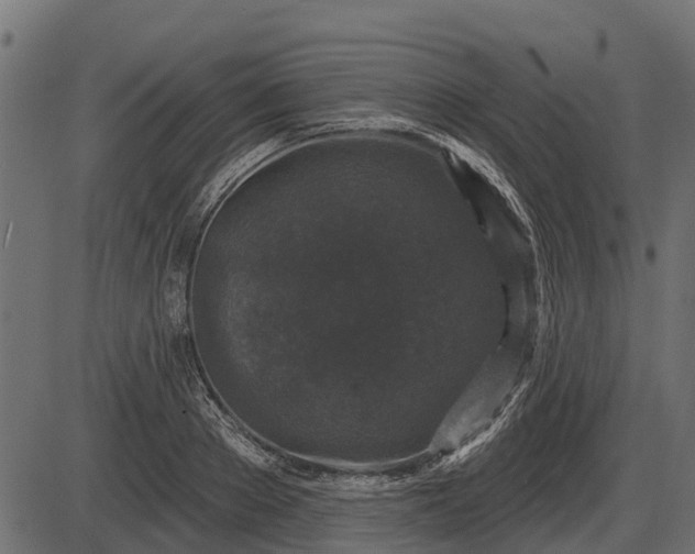 X0000086300889200704091018