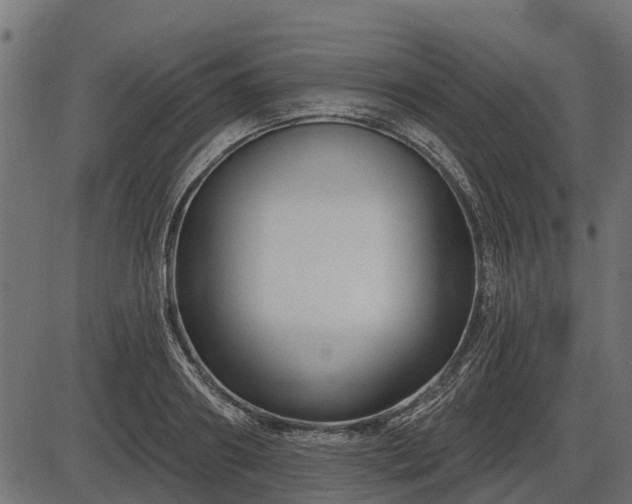 X0000086300890200704091018