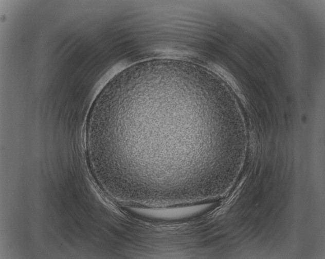 X0000086300891200704091018