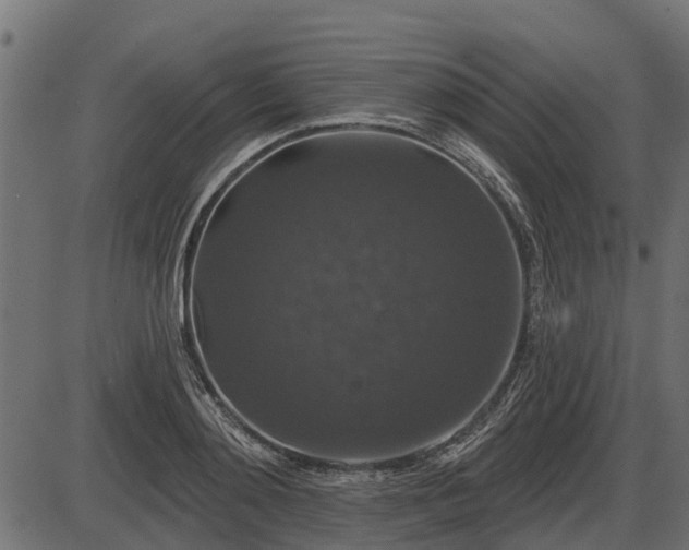 X0000086300892200704091018