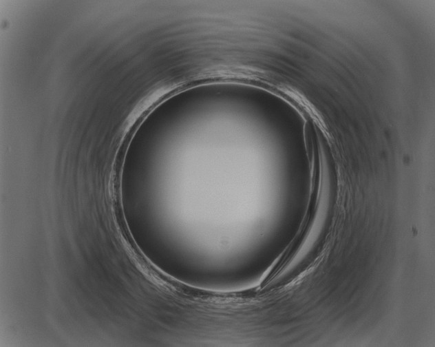 X0000086300893200704091018