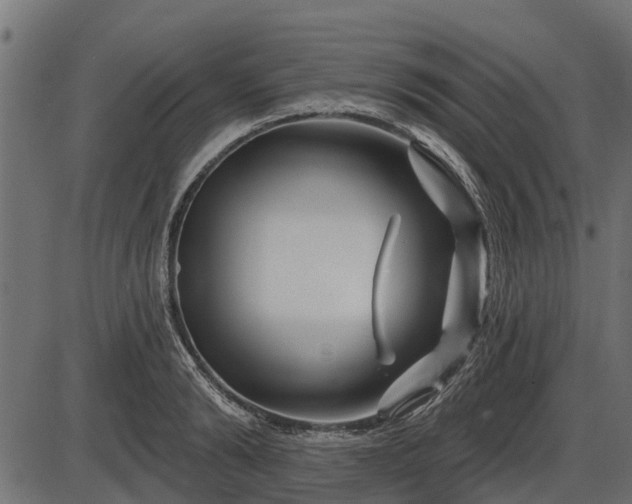 X0000086300894200704091018