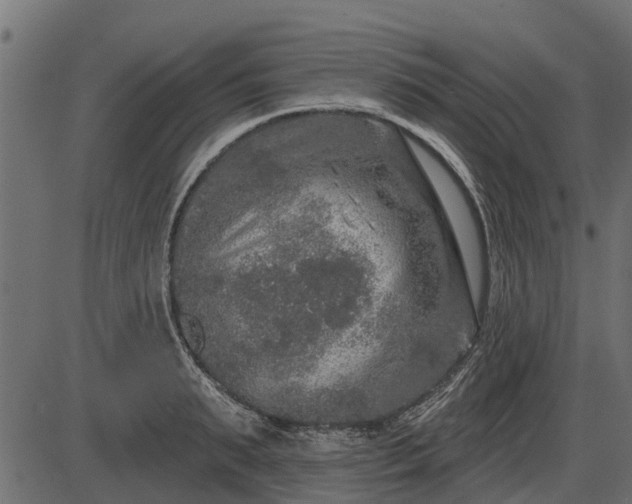 X0000086300895200704091018