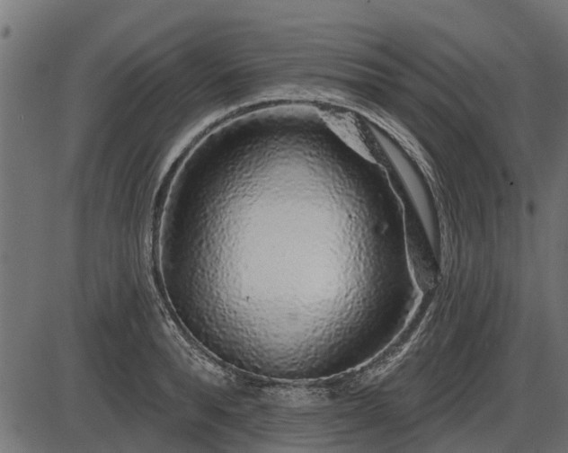 X0000086300896200704091018