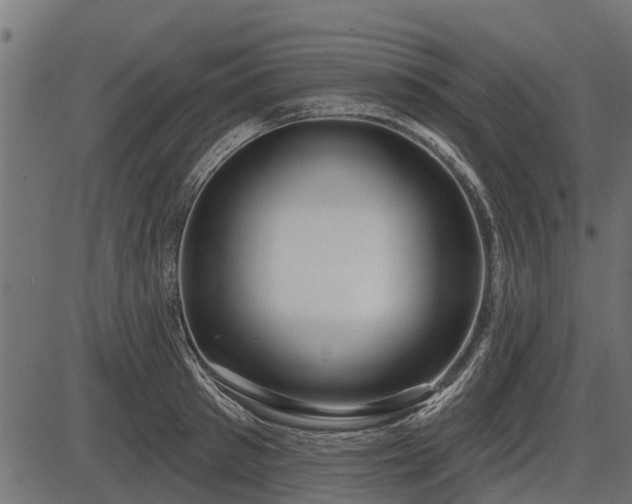 X0000086300897200704091018