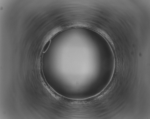 X0000086300898200704091018