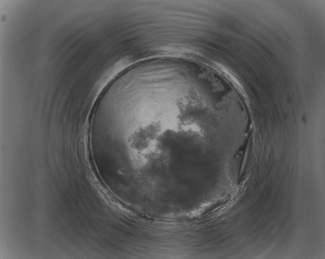 X0000086300899200704091018