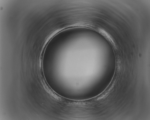 X0000086300900200704091018