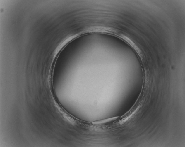 X0000086300901200704091018