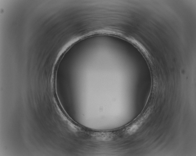 X0000086300902200704091018