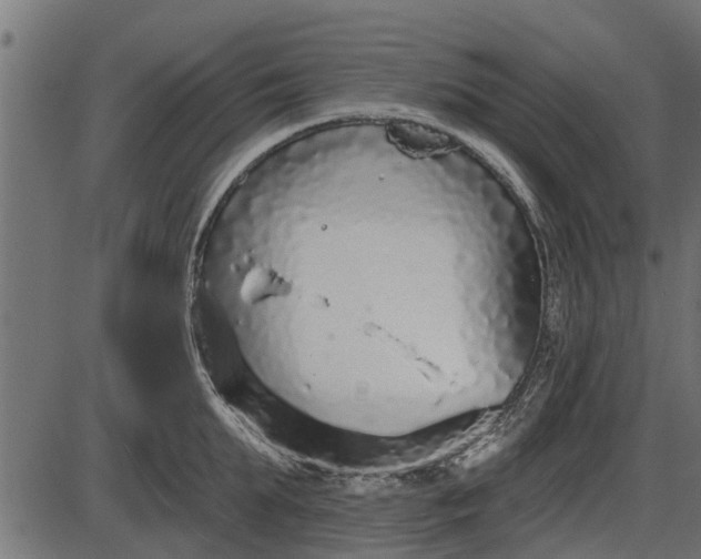 X0000086300903200704091018