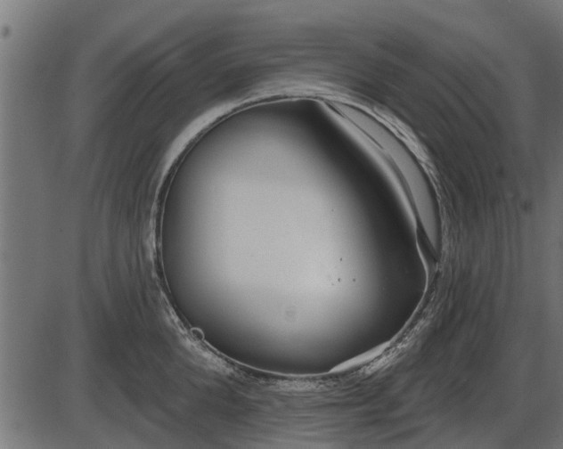 X0000086300904200704091018