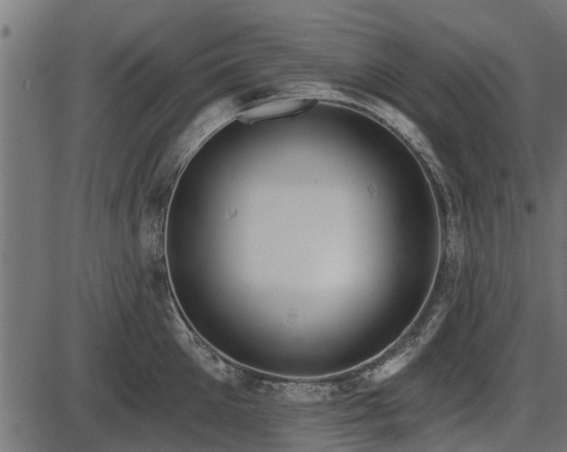 X0000086300905200704091018