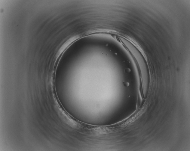 X0000086300906200704091018