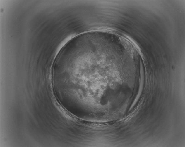 X0000086300907200704091018