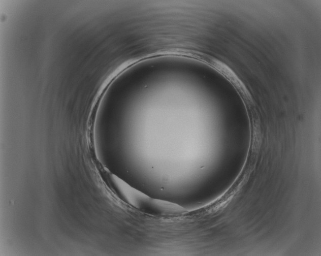 X0000086300908200704091018