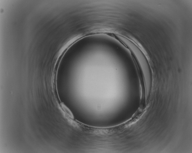 X0000086300909200704091018