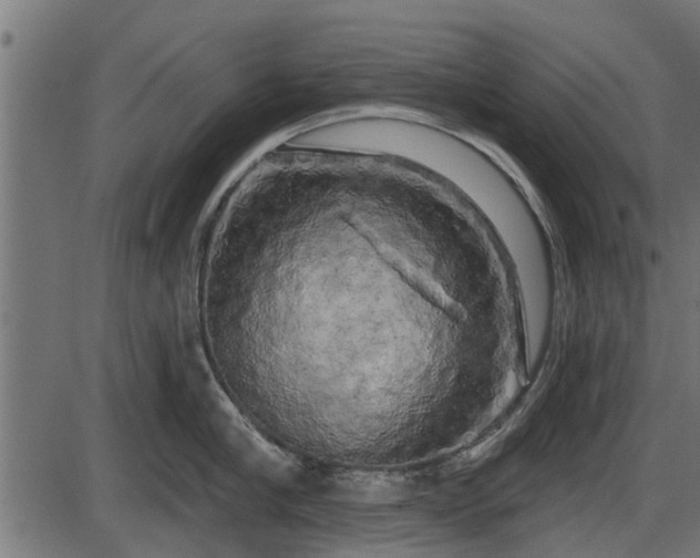 X0000086300910200704091018