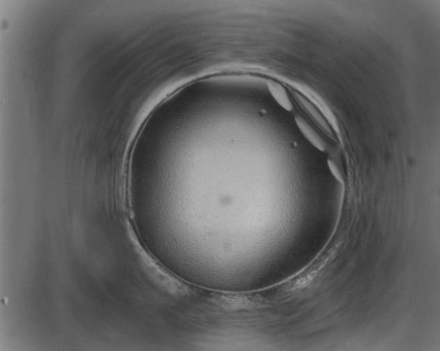 X0000086300911200704091018