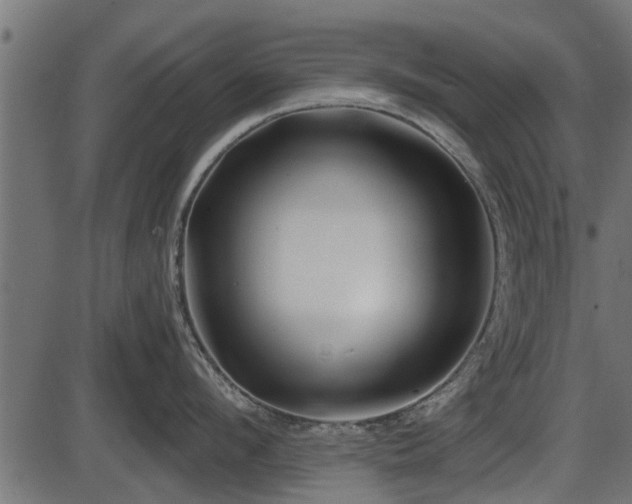 X0000086300912200704091018