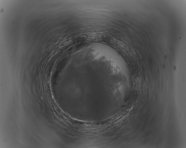 X0000086300913200704091017