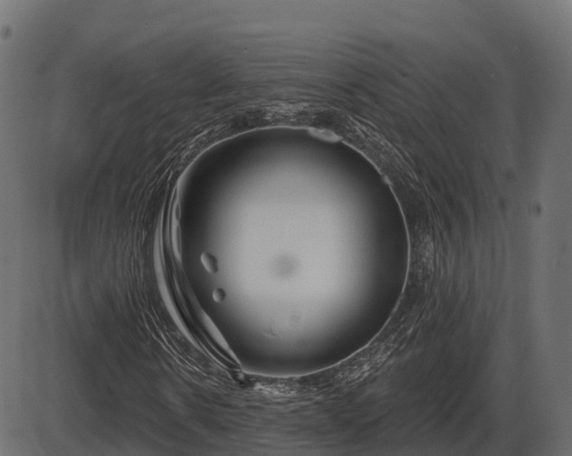 X0000086300914200704091017