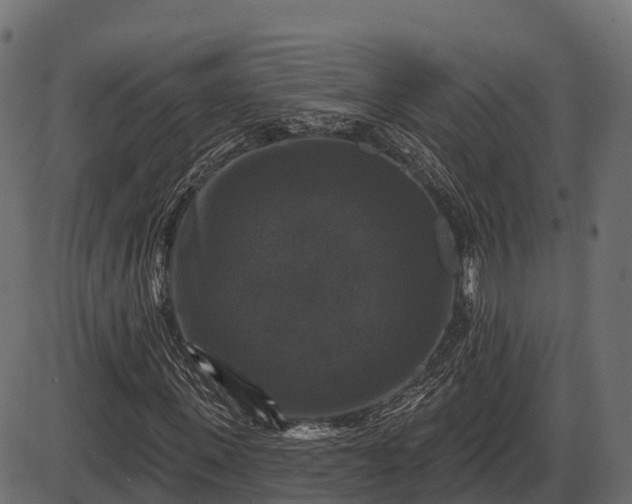 X0000086300915200704091017