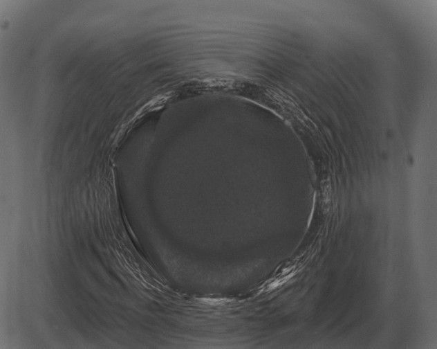 X0000086300916200704091017