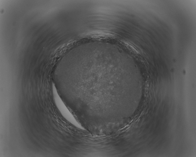 X0000086300917200704091017