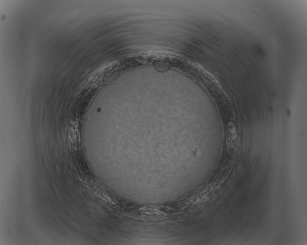 X0000086300918200704091017