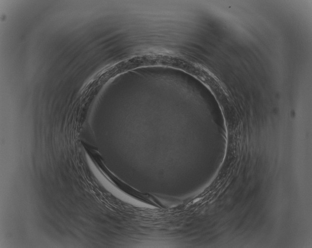 X0000086300919200704091017