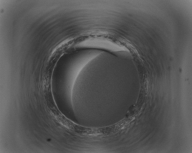 X0000086300920200704091017