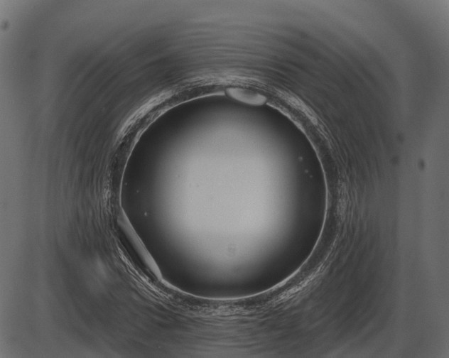 X0000086300922200704091017