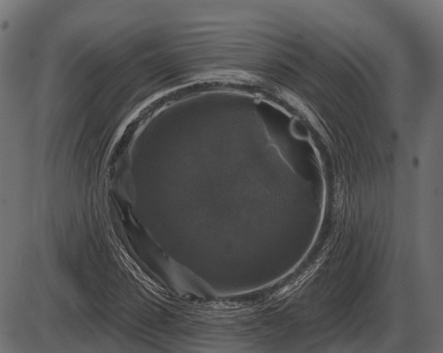 X0000086300923200704091017