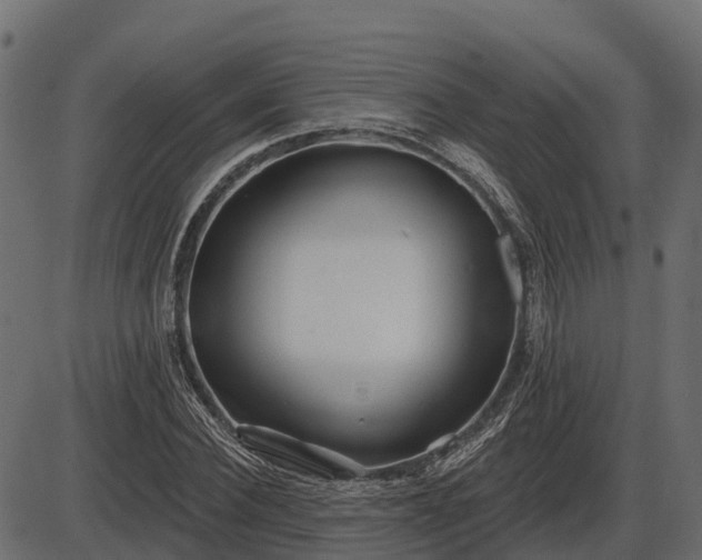 X0000086300924200704091017