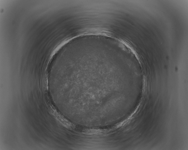 X0000086300925200704091017