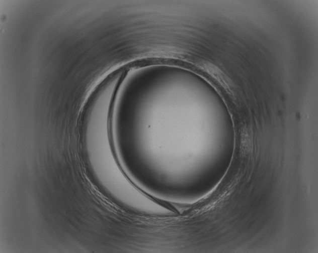 X0000086300926200704091017