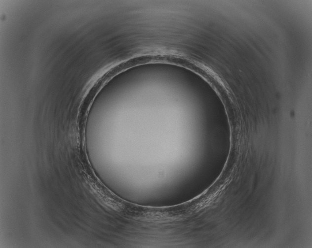 X0000086300927200704091017