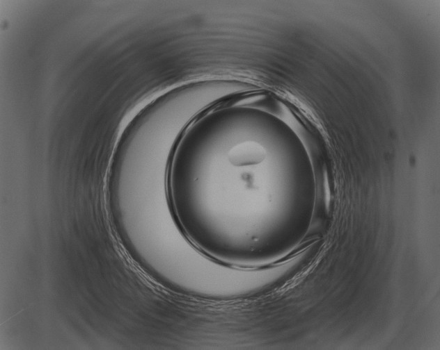 X0000086300928200704091017