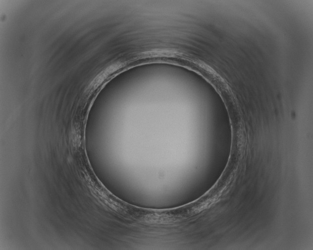 X0000086300929200704091017