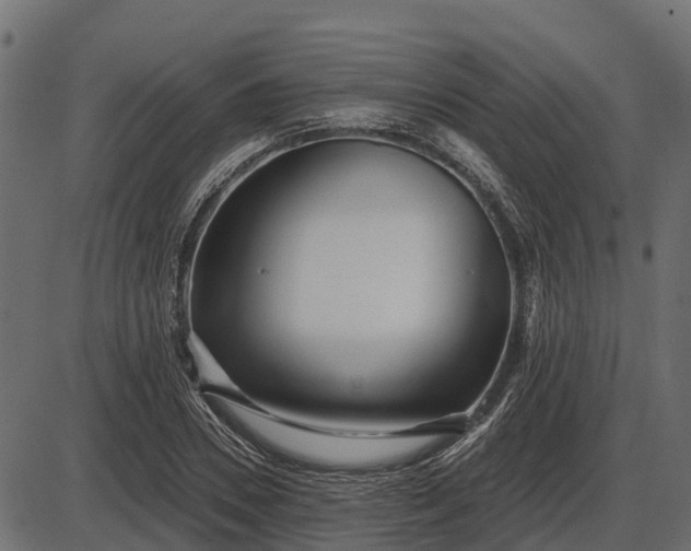 X0000086300930200704091017