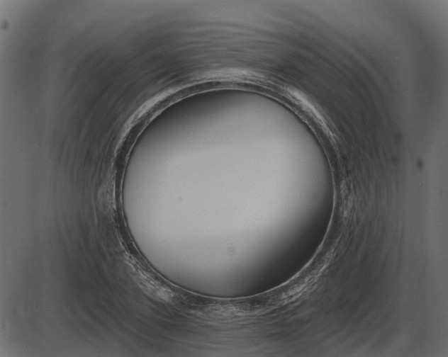 X0000086300931200704091017