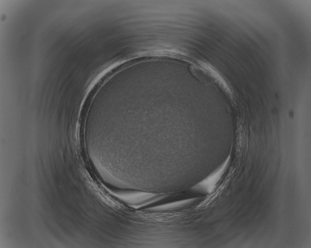 X0000086300932200704091017