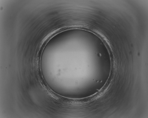 X0000086300933200704091017