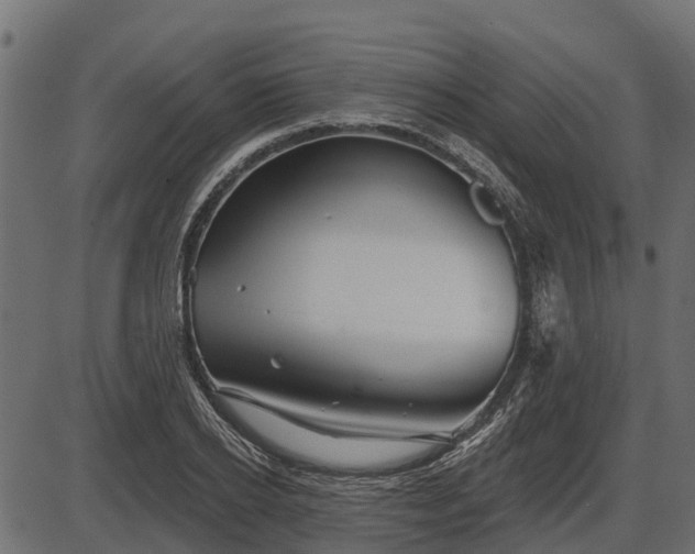 X0000086300934200704091017